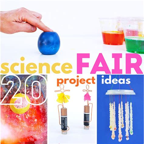 30+ Science Fair Projects That Will Wow The Crowd - Babble Dabble Do