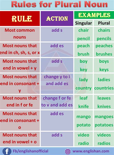 Singular and Plural Nouns Rules and Example | Englishan