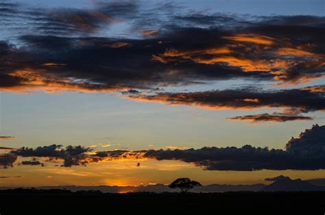 Premium Photo | Beautiful africa safari sunset amboseli national park kenya