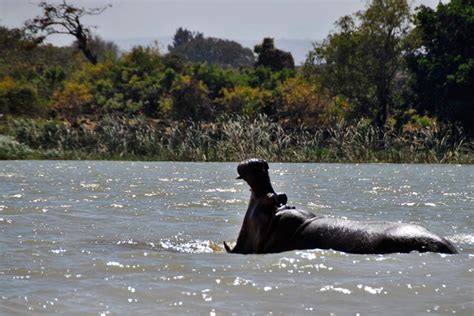 Bahir Dar (by flight) - Inside Ethiopia Tours