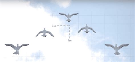 Why Do Birds Fly In a V Format? - CBSE Class 6-10