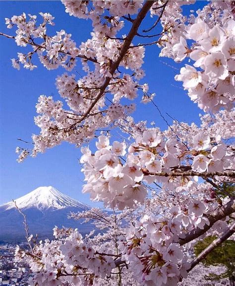 036 33610 | Mount fuji, Beautiful destinations, Beautiful nature