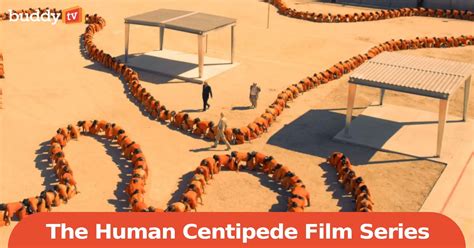 Read This Before You Watch "The Human Centipede" (Film Series) - BuddyTV