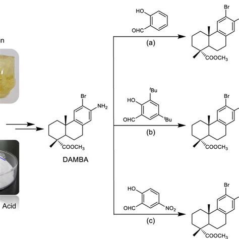 Schematic illustration of molecular synthesis Synthesis of ...