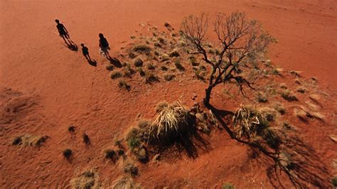 Blu-ray: Walkabout review