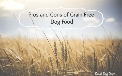 The Pros and Cons of Serving a Grain Free Dog Food Diet