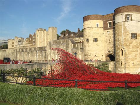 Remembering the fallen | Marking the WW1 centenary with poppies at the ...