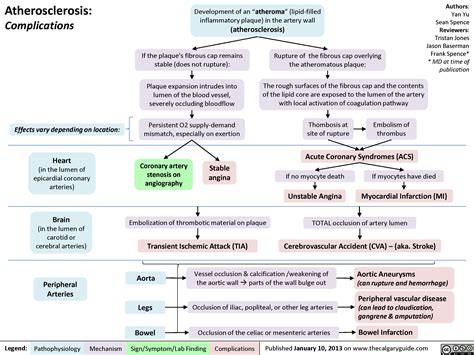 Atherosclerosis: Complications | Calgary Guide