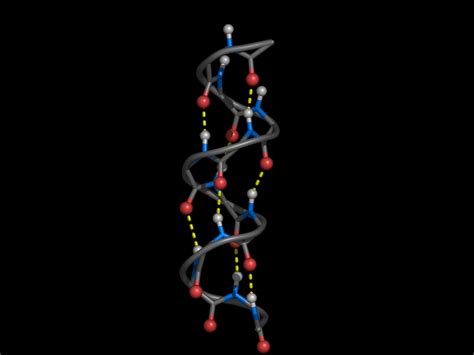 Concepts in Protein Structure