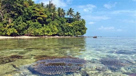 Solomon Islands: A Tropical Paradise With A Fascinating Past | Seal ...