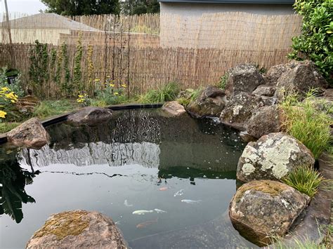 Expert concrete koi pond design and construction and state of the art ...