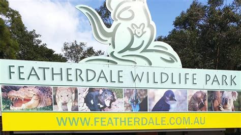 featheRdale wildlife paRk - YouTube