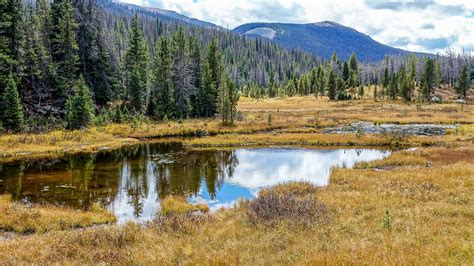 This marsh (aka, La Poudre Pass Lake) in the Rocky Mountai… | Flickr