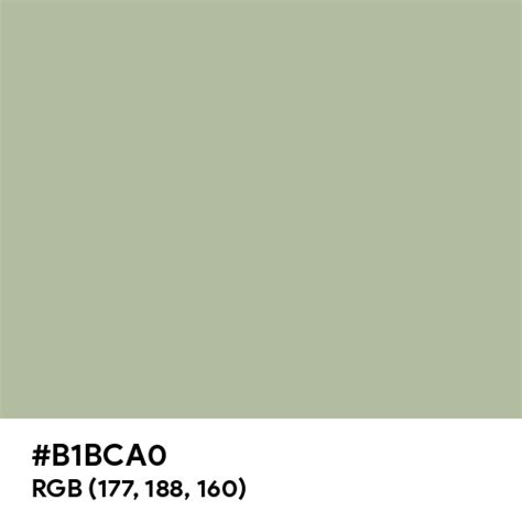 Sage color hex code is #B1BCA0