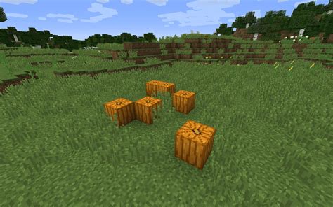 How to Get Pumpkin Seeds in Minecraft - Gamezo