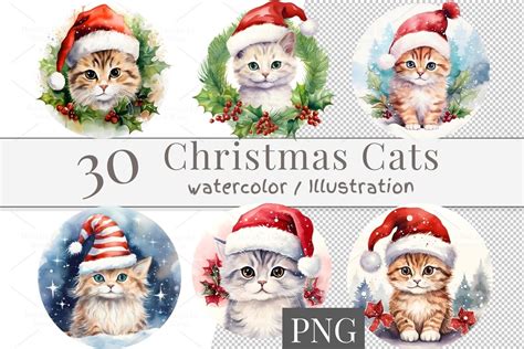 30 Watercolor Christmas Cat, PNG 831 Graphic by SWcreativeWhispers ...