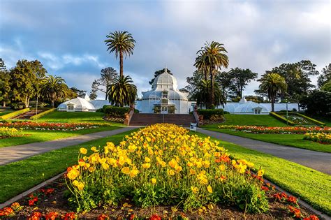 golden gate park botanical garden price - Service Binnacle Image Archive