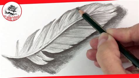 Feather Pencil Drawing By Me Feather Drawing Feather Sketch Texture ...