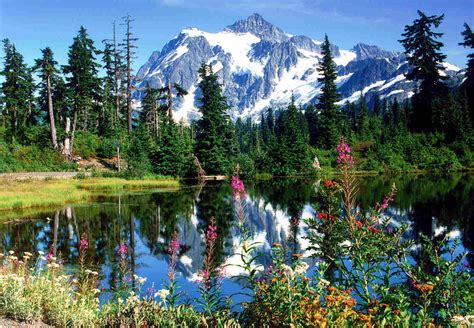 8 Weekend Getaways in Washington State Surrounded By Nature