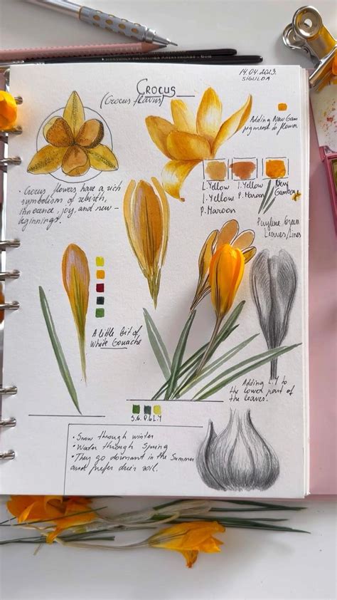 Painting flowers in sketchbook | Flower painting, Watercolor sketching ...