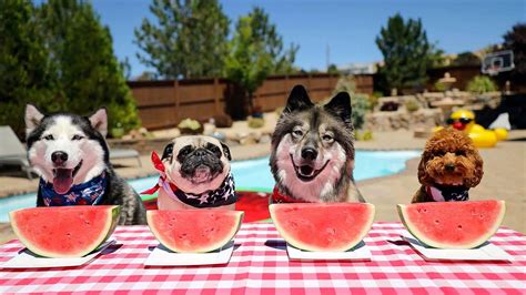 This watermelon eating contest is one you don’t want to miss! – Party 96.3