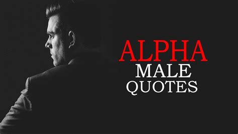 Alpha Male Quotes Buy Stores | www.metaltecnica.com.pe