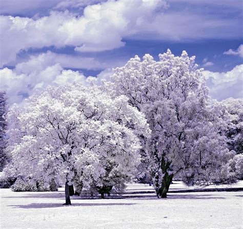 Digital Camera for Infrared and Full Spectrum Photography ...