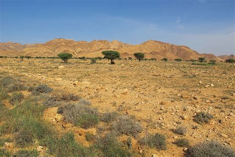 The National Parks Of Tunisia - WorldAtlas.com