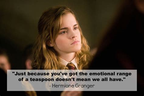 Hermione Harry Potter Quotes. QuotesGram