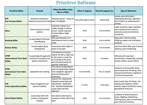 Retained Neonatal Reflexes Wellington | Total Health Chiropractic