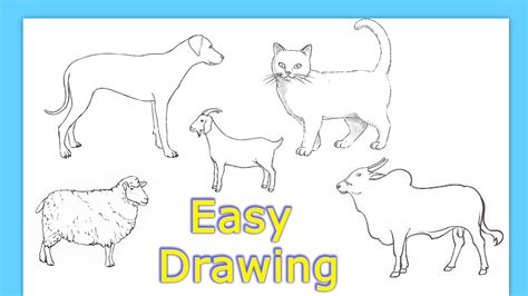 5 Animals Drawing Easy How to draw domestic Animals step by step easy