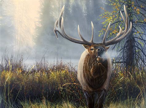 Mark Slawson » North American Big Game – Elk Painting