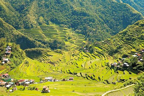 Discover Banaue Rice Terraces in Manila | Trip Guru