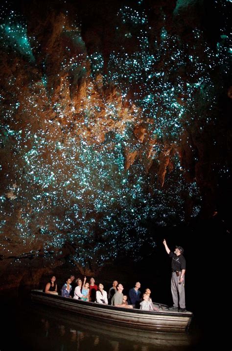 La magnifique grotte de Waitomo en Nouvelle-Zélande s’illumine d’une ...