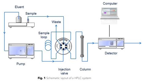 Hplc Chromatogram Analysis