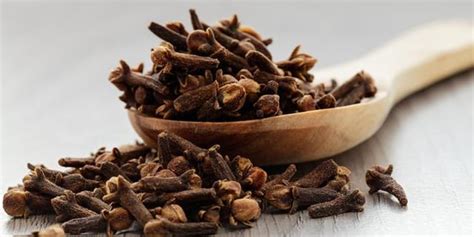 You can use clove as a toothache-painkiller - just hold it between your ...