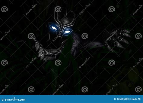 Black Panther Character Cosplay in Wakanda Editorial Image - Image of ...