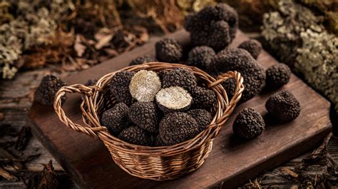 Can You Grow Truffle Mushrooms At Home?