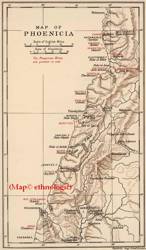 ΕΘΝΟ - ΛΟΓΙΚΑ: Φοίνικες (3)