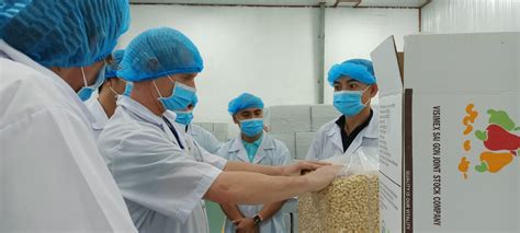 Organic Cashew Nut Processing Best Practices