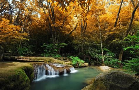 Autumn forest waterfall wallpaper | nature and landscape | Wallpaper Better