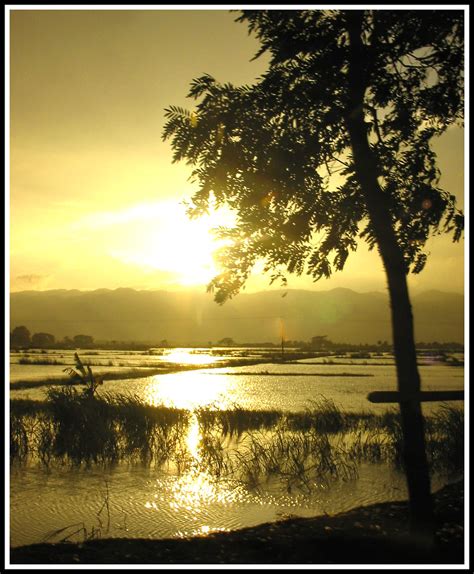 Sunset at Inle-lake | On the way to Inle Lake, taken from th… | Flickr