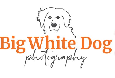 Big White Dog Photography: Unleashing Adventure - Cloudberry Stickers