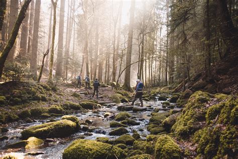 Went on a hike in Germany’s Black Forest : r/CampingandHiking