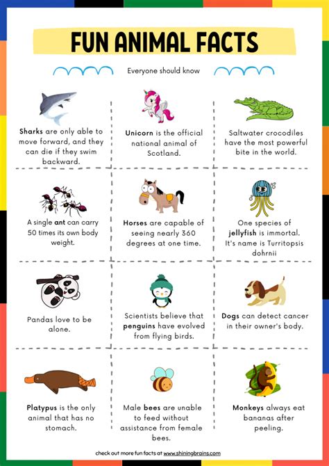 Fun Facts about Animals for Kids with free animal facts Printable