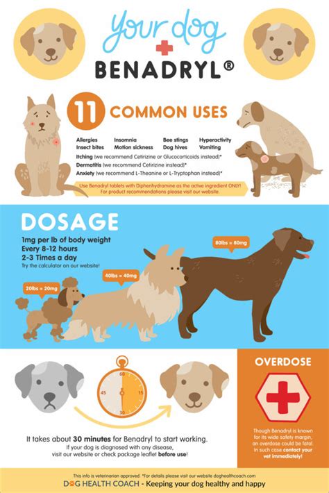 5 Things Dog Owners Should Know About Giving Benadryl To Dogs