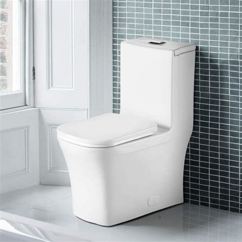 Fine Fixtures Dual-Flush Elongated One-Piece Toilet with High ...