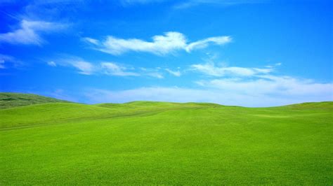 Blue Grass Wallpapers - Top Free Blue Grass Backgrounds - WallpaperAccess