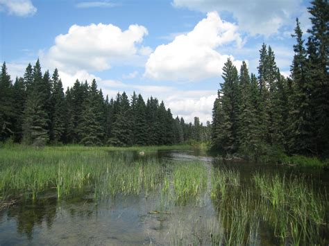 Vancouver Rains: Prince Albert National Park, Saskatchewan