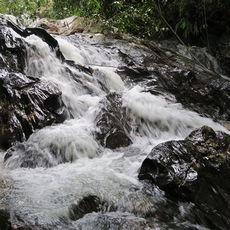 TEMPLER PARK (2024) All You Need to Know BEFORE You Go (with Photos)